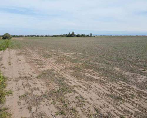 Pcia. de Cordoba - Lozada 72 Ha