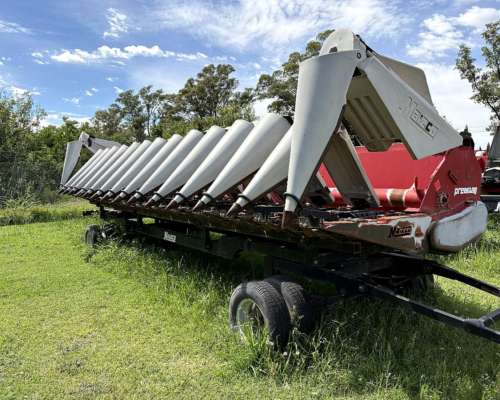 Maicero Premium 14 a 52 año 2018