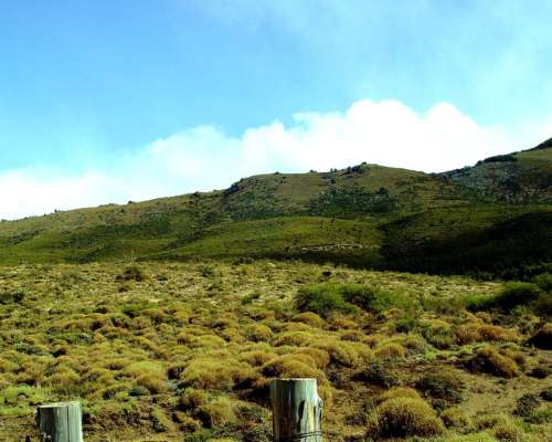 Fields y Land Opportunities Across Argentina