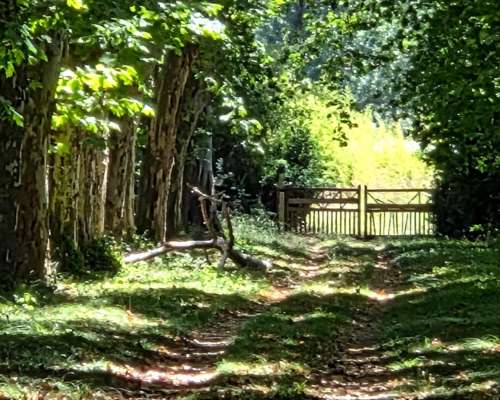 Espectacular Campo en Pilar