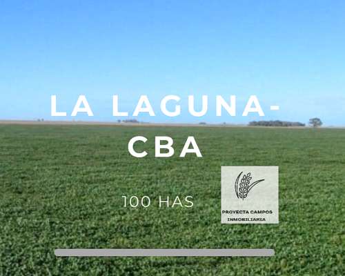 Se Venden 100 Has - la Laguna