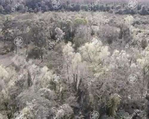 Campo Venta de 6300 Has en Oran, Salta