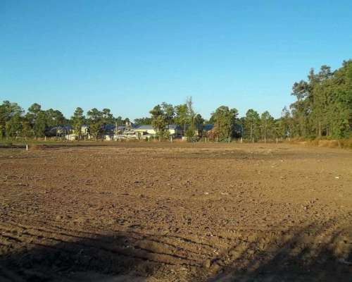 Excelente Loteo (25 Lotes de 300 M2 )