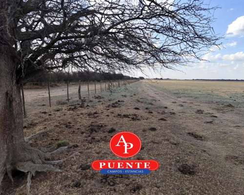 En Venta 1250 HA. en Luan Toro, la Pampa
