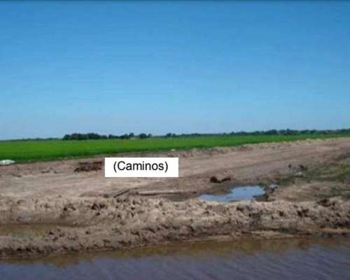 Campo 4168ha Mixto - San Luis del Palmar Corrientes