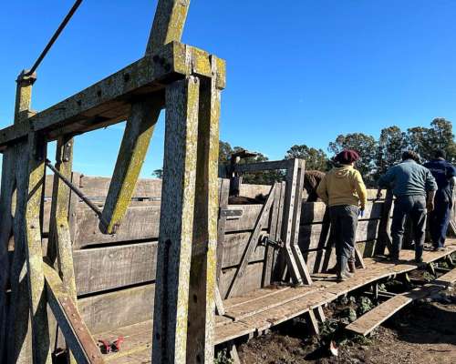 340 Hectáreas Ganaderas en Alberti