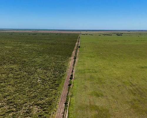 2431 Has Secano en Venta Patagones