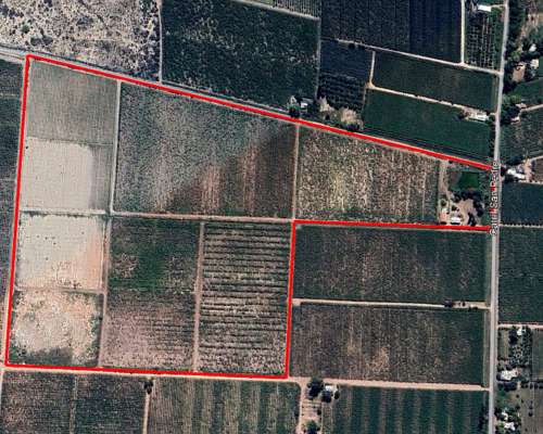 Finca de 25 Ha Chapanay, San Martin Mendoza