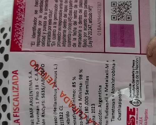 Semilla de Girasol Basf