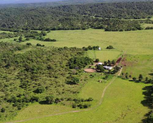 Córdoba Valle de Calamuchita San Ignacio 500 Has Ganaderas