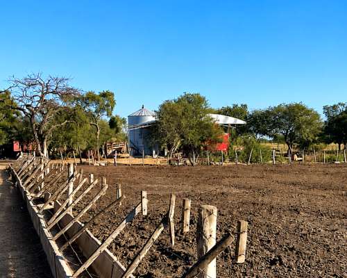 Campo Mixto Agricola y Ganadero.