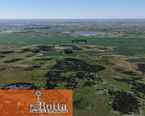 785has Mixtas en Venta en Carlos Casares