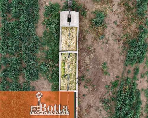 Campo Alfalfero en Venta — 1.220 Has Batavia, San Luis