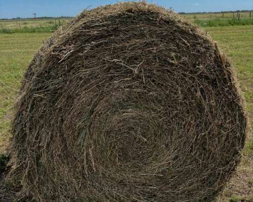 Vendo Rollos de Alfalfa