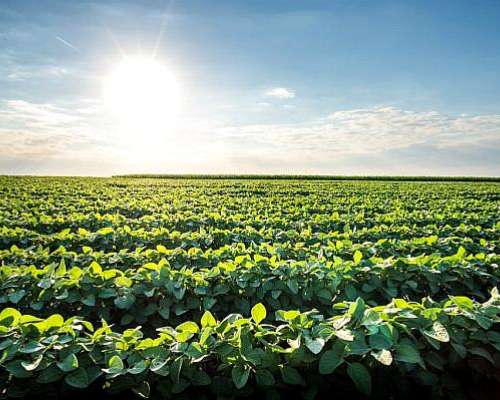 Rosario Santa FE 100 Hect Cerc Puertos