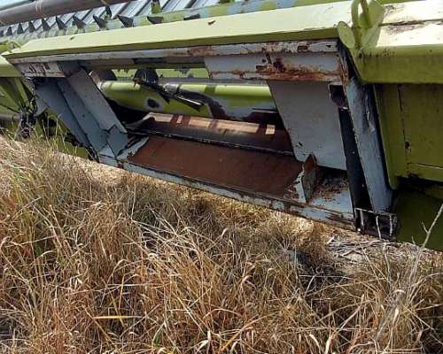 Girasolero Maizco Mxiii 16 a 70 cm – Buen Estado General