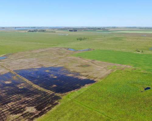 163 Has en Chascomús, Buenos Aires - Mixto - Venta