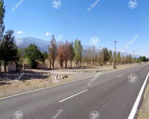 Campo en Venta de 357 Has Santa Maria, Catamarca