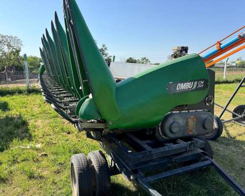 Ombu 18 a 52 año 2020