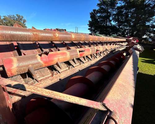 Girasolero Maizco de 12 a 70 - Financiado a 2 Años