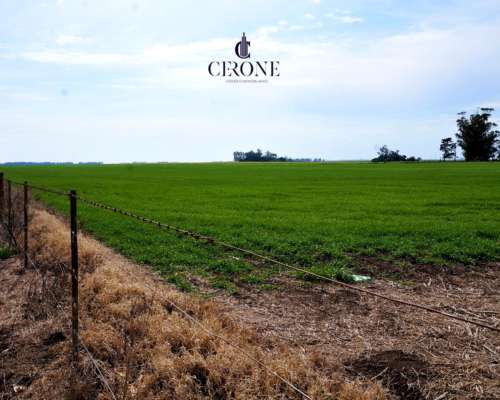 Venta - Campo - 12 Hectareas - Mechongue