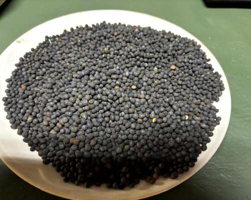 Vicia Villosa Procesada para Sembrar