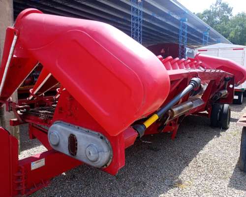 Maicero Ombu 13 a 52 año 2018