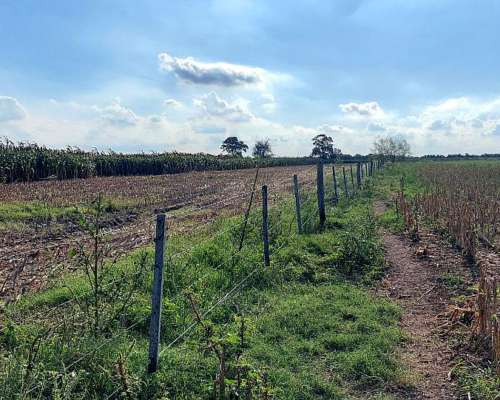 Se Venden 83 Has en Moisés Ville