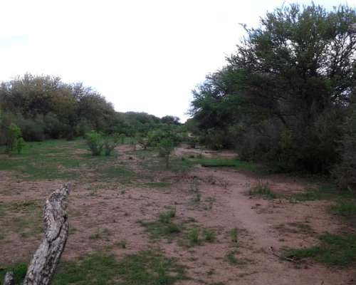 Vendo Campo Ganadero en San Luis