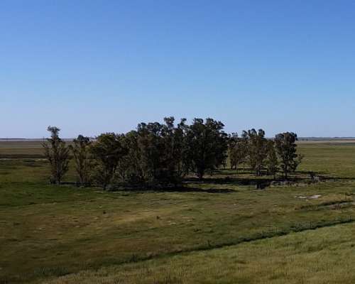 Excelente Campo de 127 Ha Sobre RN 226 Zona Carlos Tejedor