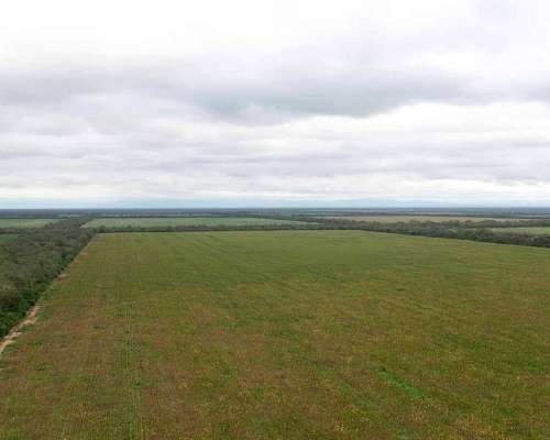 Pcia. de Salta - las Maravillas 2889 Has