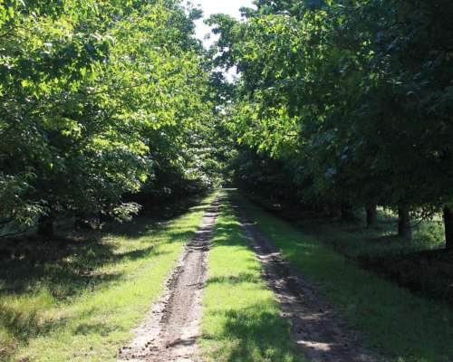 Ba2964 Torres Lujan Buenos Aires