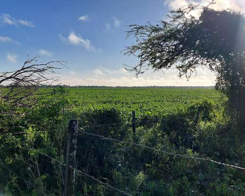 Se Vende 120 Has Zona Virginia
