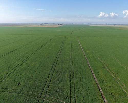 65 HA. Agrícola Optimo. Chovet (santa FE)