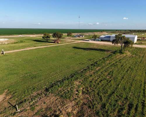 Tobas, Juan Felipe Ibarra, Santiago del Estero - 3.580 Ha