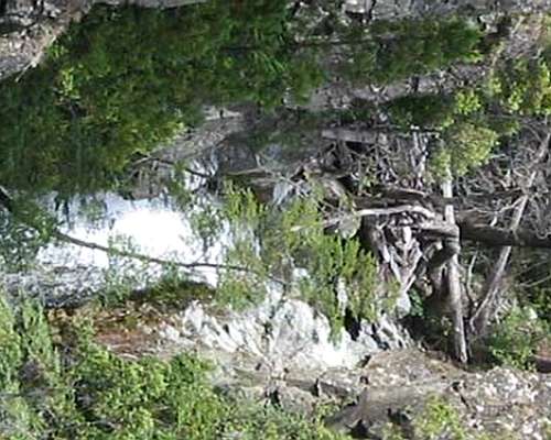 Venta Campo en el Hoyo Zona Arrollo Pedregoso 892 Hectareas