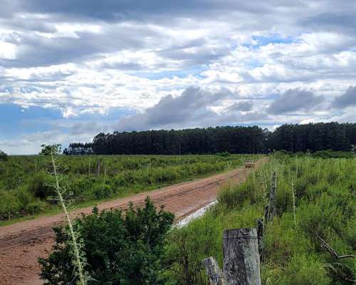 37.5 HA. Cantera. Dto. Colón, Entre Ríos