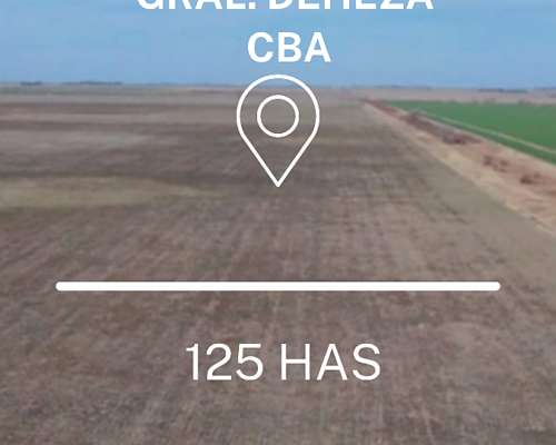 Venta - 125 Has en Gral. Deheza- CBA