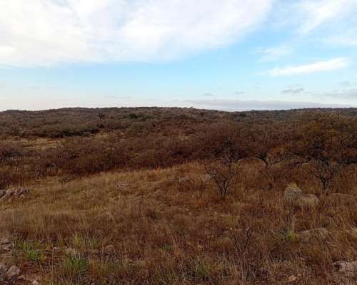 Venta de 213 Ha Ganaderas en Berrotarán