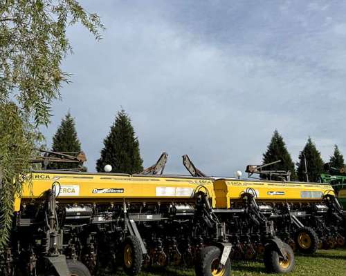 Erca Serie V. Granos Finos 2017