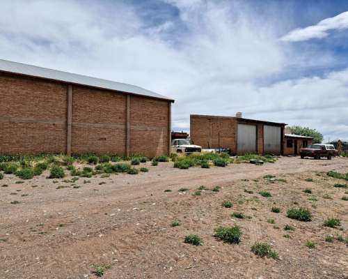 Malargue, Mendonza - 200 Ha