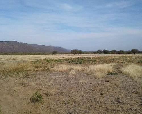 Vendo Campo de 22 Has. Cerca de San Fco. del Monte de ORO