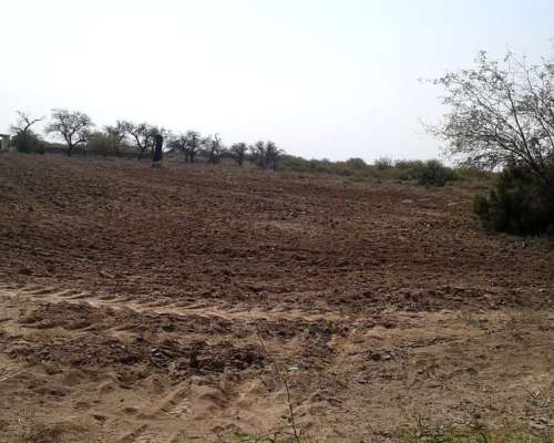 Oferta Campo con Casa