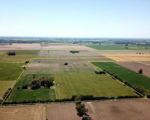 49 Has. Campo Agrícola en Torres - Carlos Keen
