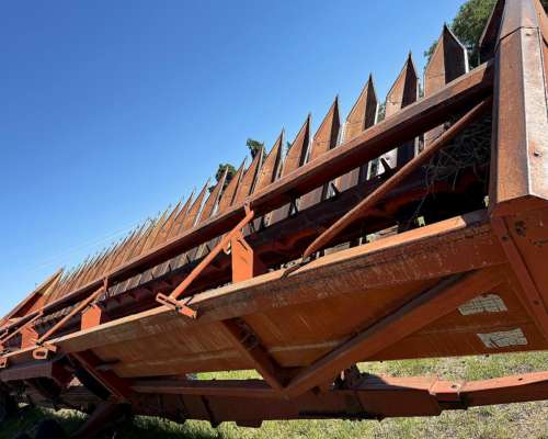 Girasolero Mainero 1035 de 14 a 70