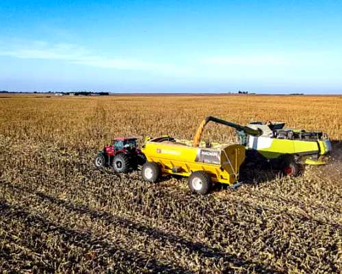 Tolva Autodescargable Ascanelli Magnum+ 30 TN. Nueva