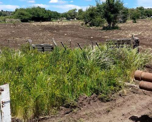 Zona Villa de Soto Campo Ganadero