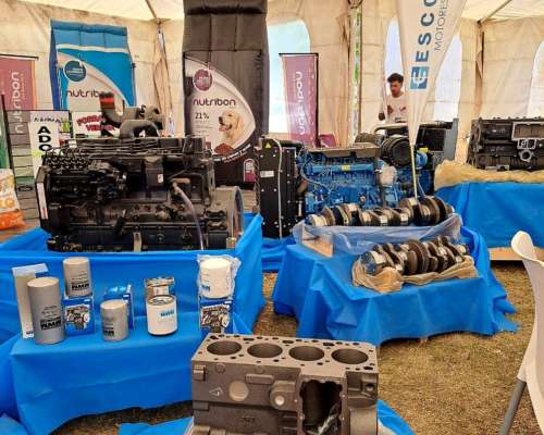 Block de Motor Cummins 4bt