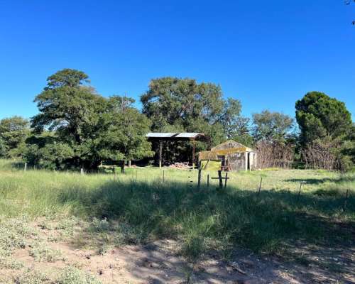 Establecimiento 2580 Ha Venta