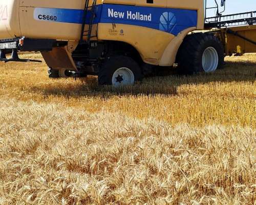 Cocechadora New Holland CS 660- año 2005
